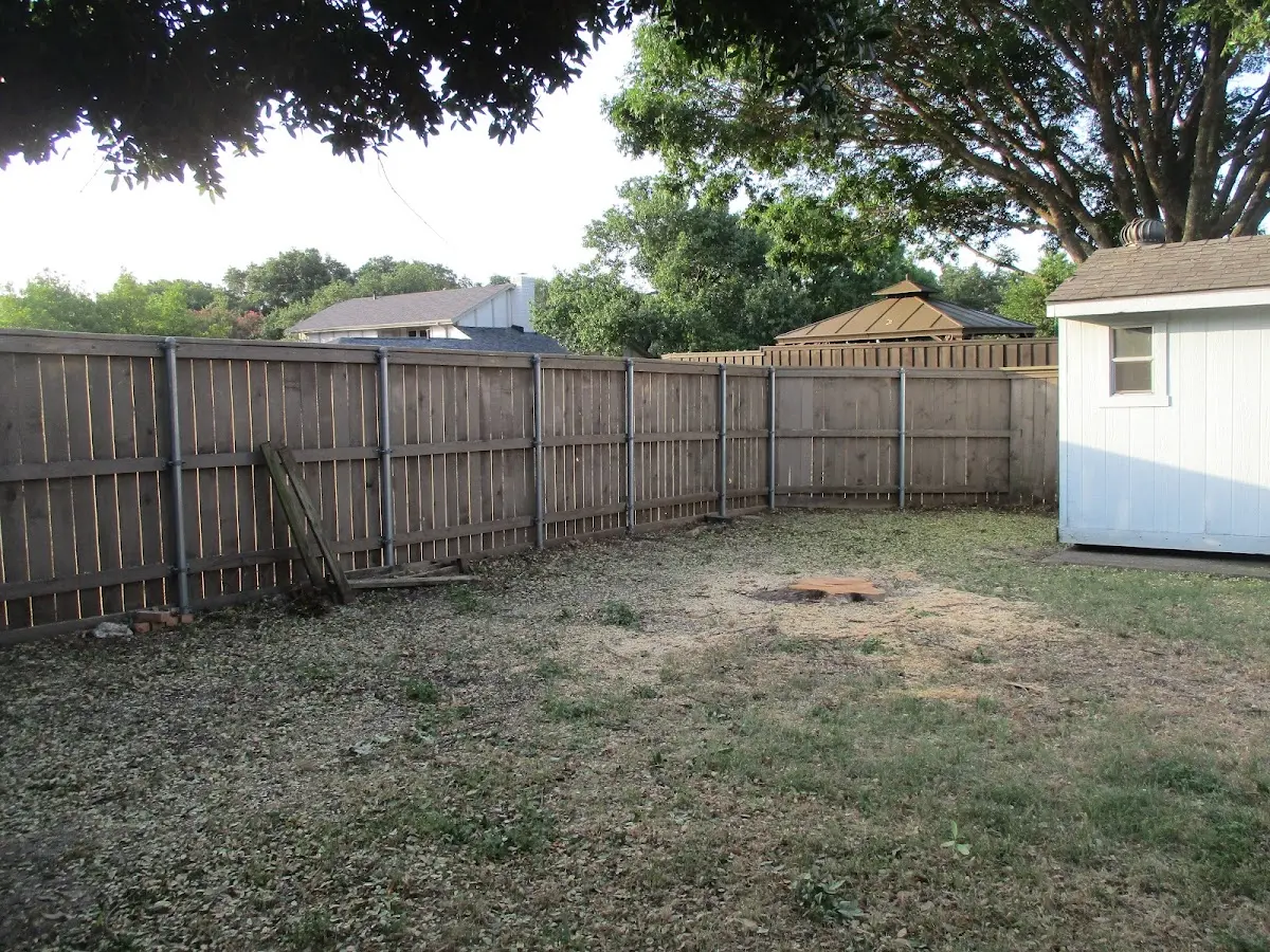 Cleared yard after professional tree removal in Red Mountain